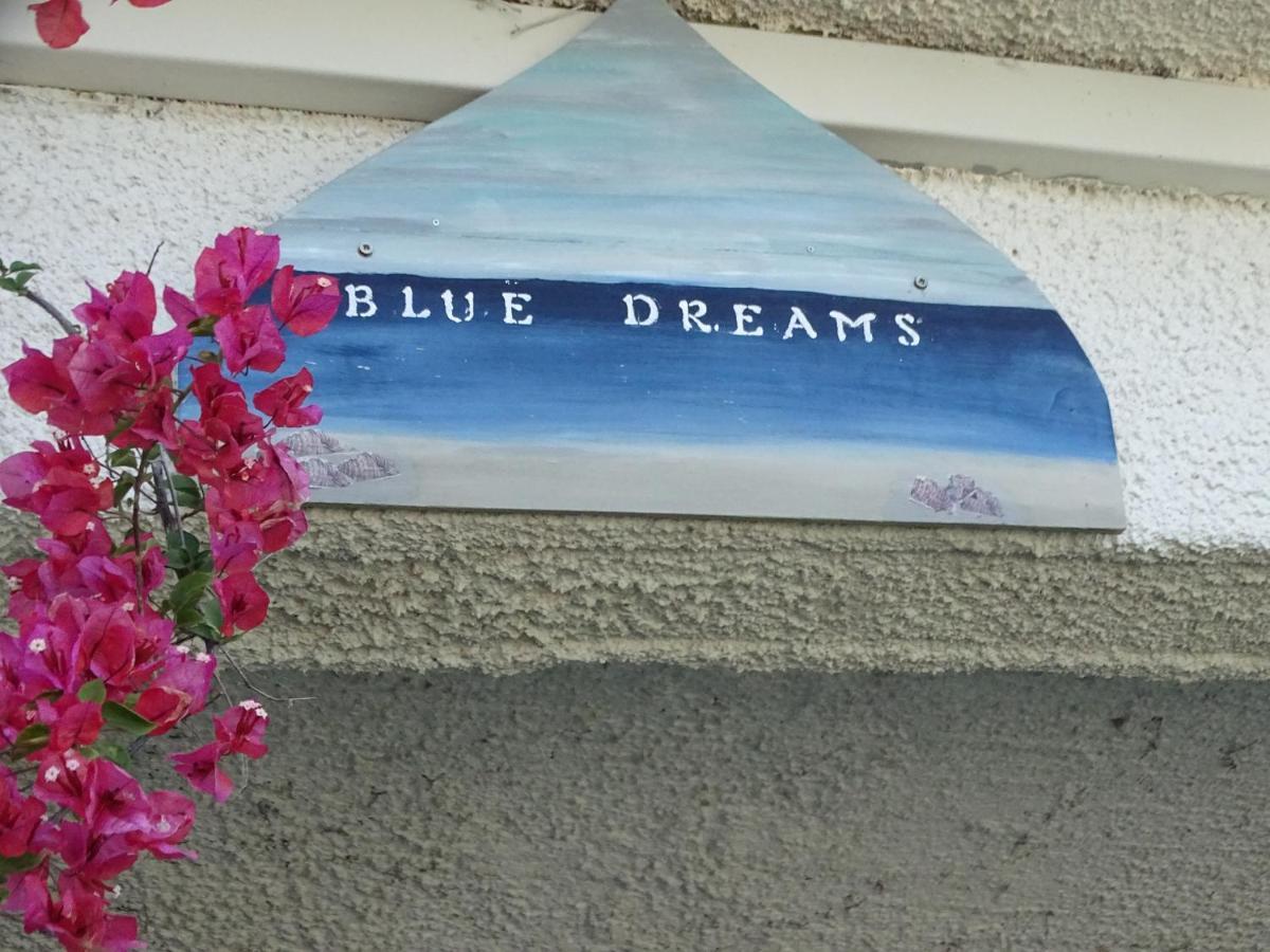 Гостевой дом Blue Dreams Алмиропотамос Экстерьер фото